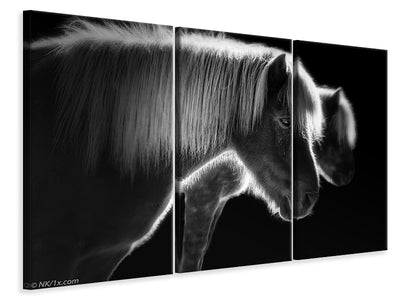 3-piece-canvas-print-two-beautiful-horses