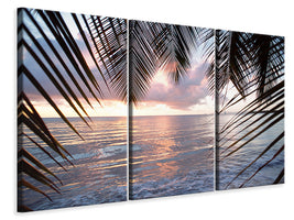 3-piece-canvas-print-under-palm-leaves