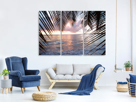 3-piece-canvas-print-under-palm-leaves