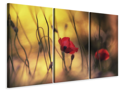 3-piece-canvas-print-untitled-xvi-p