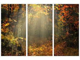 3-piece-canvas-print-we-love-autumn