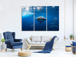 3-piece-canvas-print-whale-shark-escorted-by-a-school-of-bonito