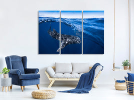 3-piece-canvas-print-whale-shark-on-split-level
