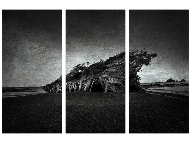 3-piece-canvas-print-wind-blown