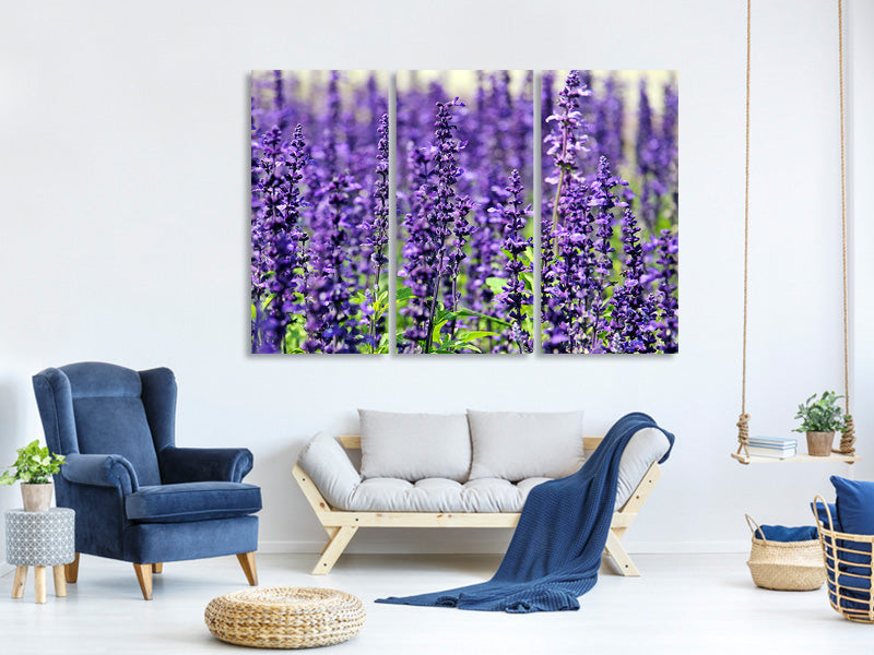 3-piece-canvas-print-xl-lavender