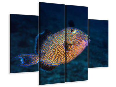 4-piece-canvas-print-blue-triggerfish