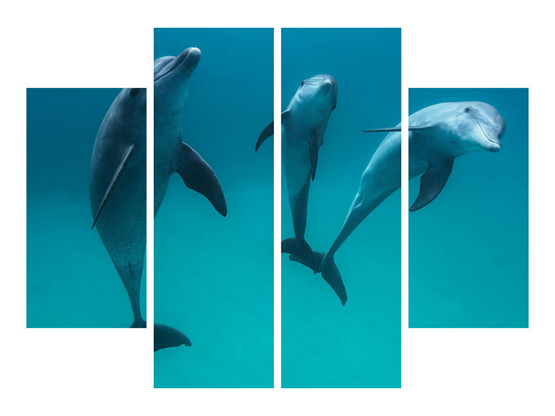 4-piece-canvas-print-bottlenose-dolphins-ii