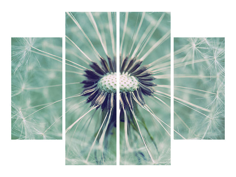 4-piece-canvas-print-close-up-dandelion