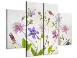 4-piece-canvas-print-columbine