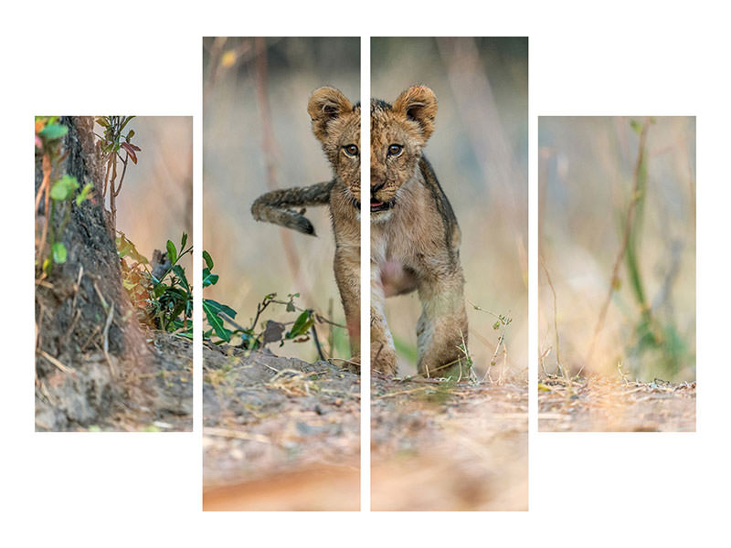 4-piece-canvas-print-cub-south-luangwa