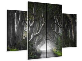 4-piece-canvas-print-dark-hedges