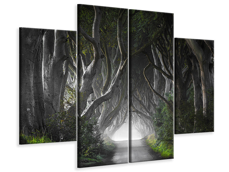 4-piece-canvas-print-dark-hedges