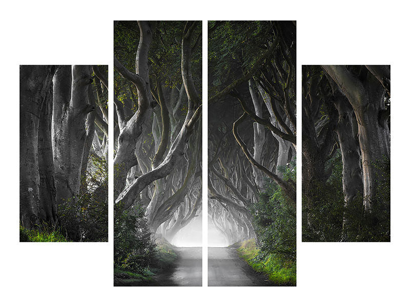 4-piece-canvas-print-dark-hedges