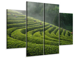 4-piece-canvas-print-green-tea-farm
