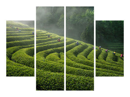 4-piece-canvas-print-green-tea-farm