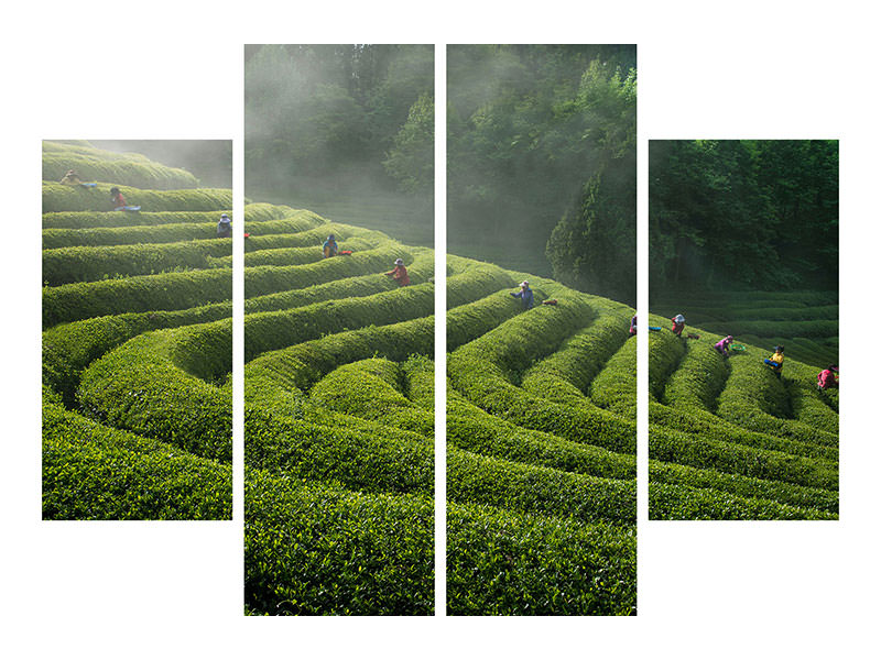 4-piece-canvas-print-green-tea-farm
