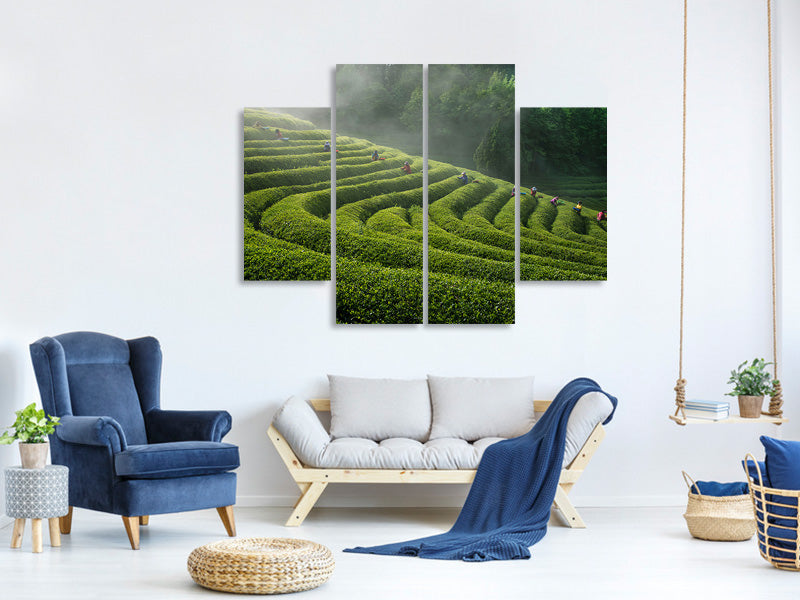 4-piece-canvas-print-green-tea-farm