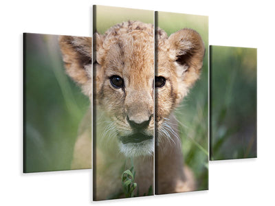 4-piece-canvas-print-lion-baby