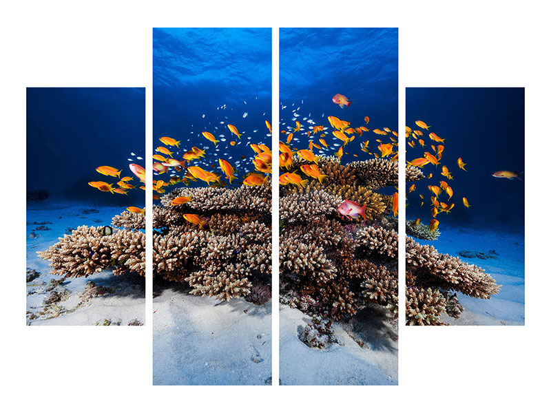 4-piece-canvas-print-marine-life