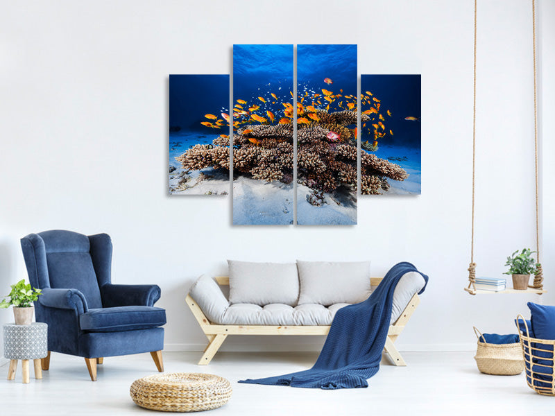 4-piece-canvas-print-marine-life