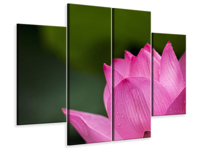 4-piece-canvas-print-marko-lotus-in-pink