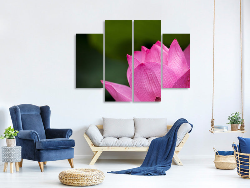4-piece-canvas-print-marko-lotus-in-pink
