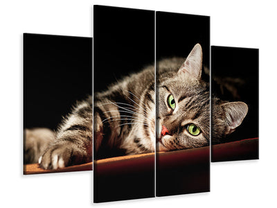 4-piece-canvas-print-relaxed-cat