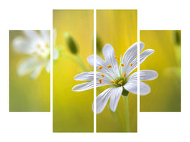 4-piece-canvas-print-stitchwort-ii