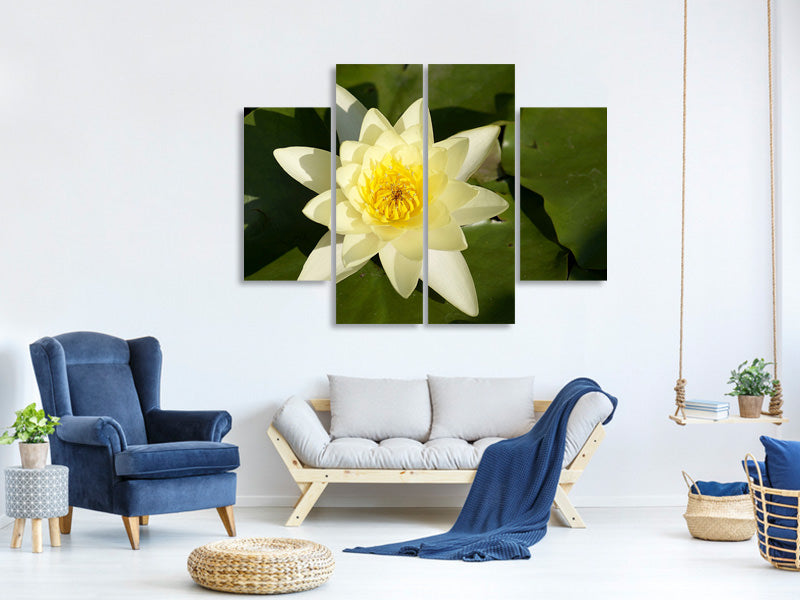 4-piece-canvas-print-the-water-lily-in-yellow