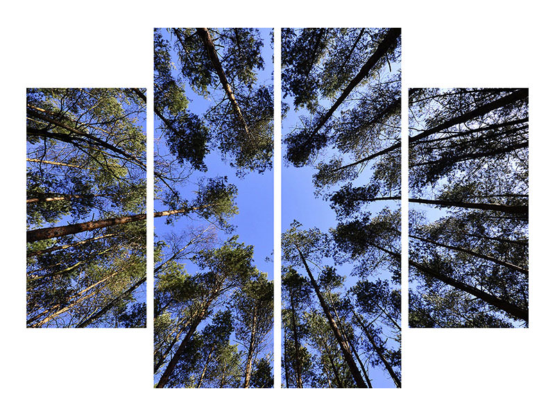 4-piece-canvas-print-under-high-treetops