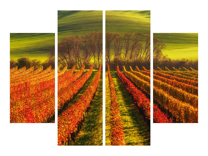 4-piece-canvas-print-vine-growing