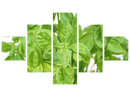 5-piece-canvas-print-basil-in-xxl