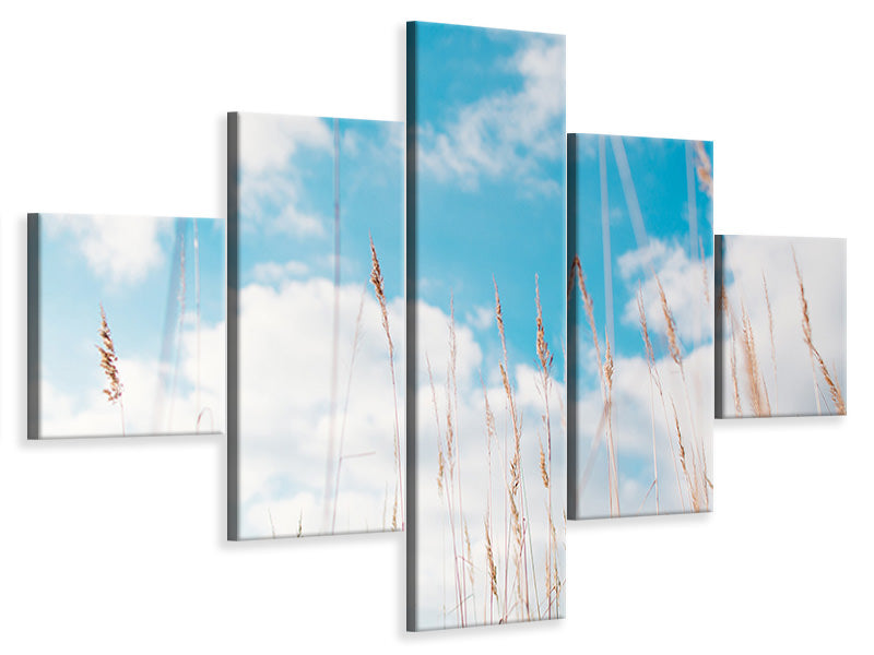 5-piece-canvas-print-blades-of-grass-in-the-sky