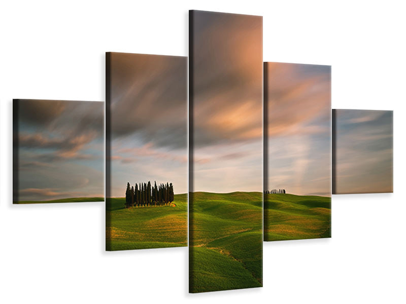 5-piece-canvas-print-fields