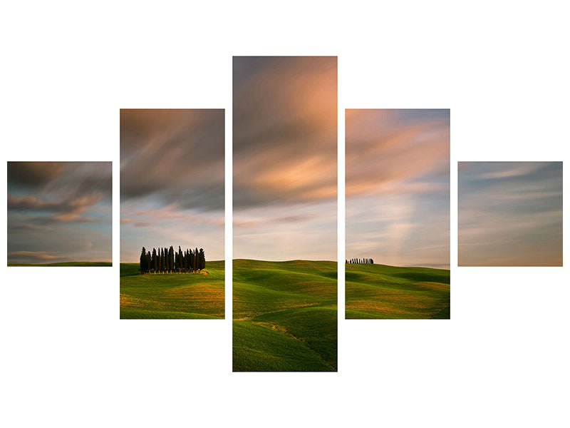 5-piece-canvas-print-fields