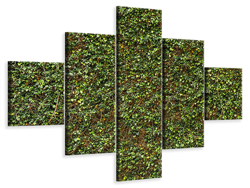 5-piece-canvas-print-green-ivy-leaves-wall