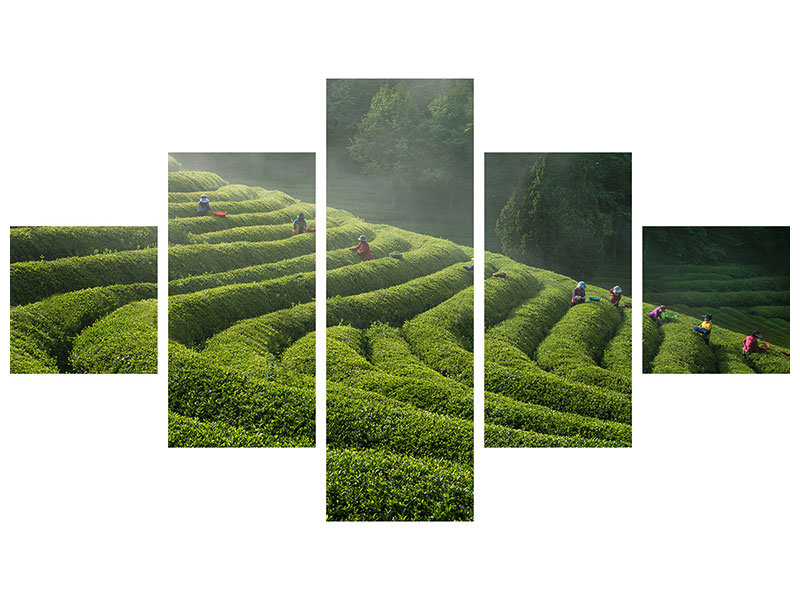 5-piece-canvas-print-green-tea-farm