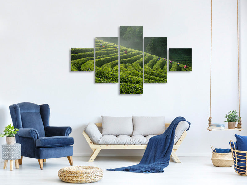 5-piece-canvas-print-green-tea-farm