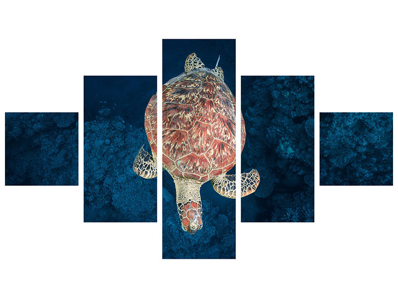 5-piece-canvas-print-green-turtle-on-blue-water