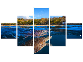 5-piece-canvas-print-green-turtle-sea-turtle