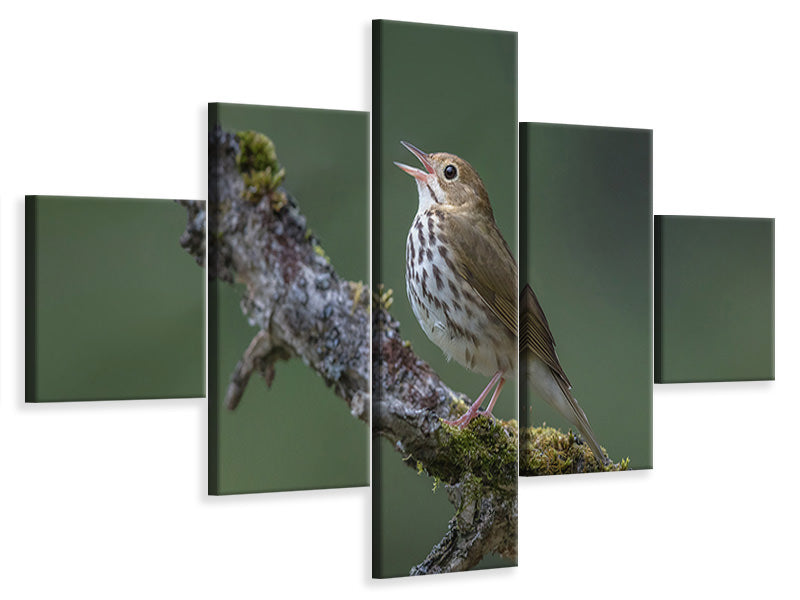 5-piece-canvas-print-in-the-forest-p