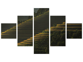 5-piece-canvas-print-landing-fields-at-sunrise-beautiful-golden-light-shines