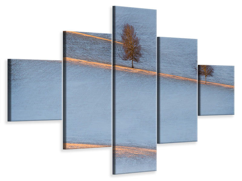 5-piece-canvas-print-light-traces