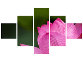 5-piece-canvas-print-marko-lotus-in-pink