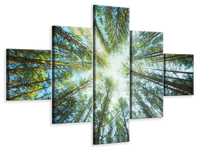 5-piece-canvas-print-pine-forest