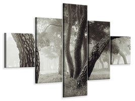 5-piece-canvas-print-pine-grove-in-fog