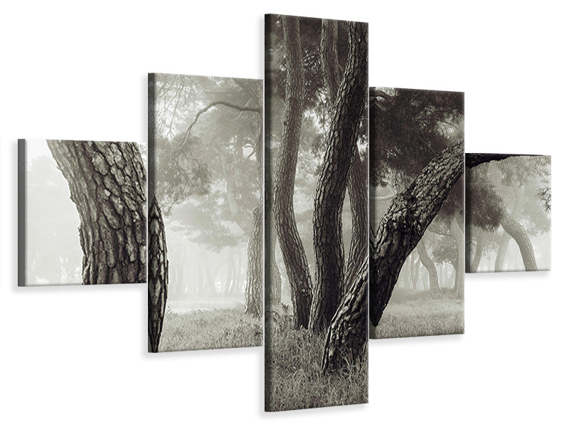 5-piece-canvas-print-pine-grove-in-fog