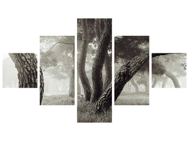 5-piece-canvas-print-pine-grove-in-fog