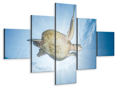 5-piece-canvas-print-sea-turtle-green-turtle