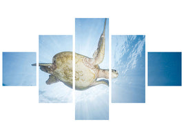 5-piece-canvas-print-sea-turtle-green-turtle